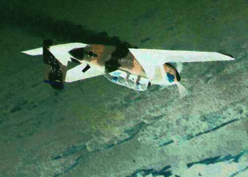 Inverted